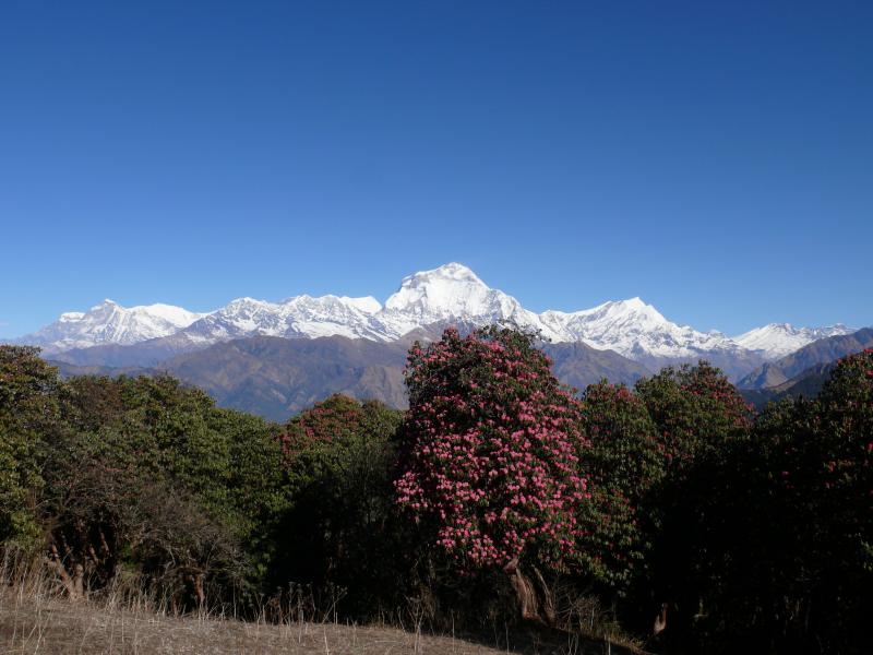 Jaljale Trek Kanchenjunga Area