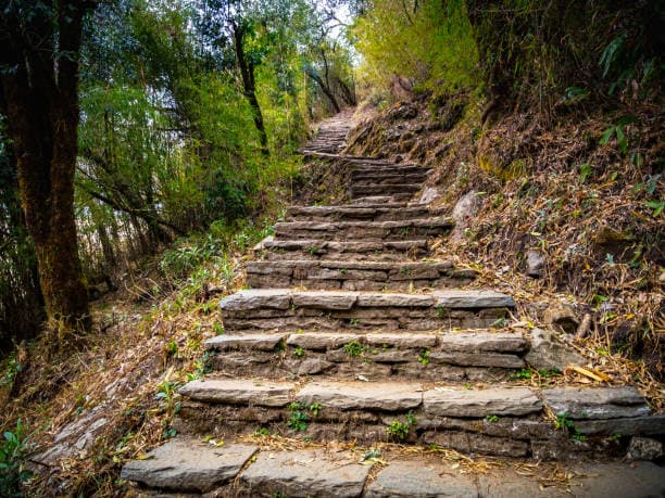 Annapurna Base Camp Trek (7 Days)