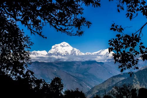 Ghorepani Poon Hill Trek