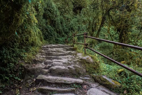 Ghorepani Poon Hill Trek