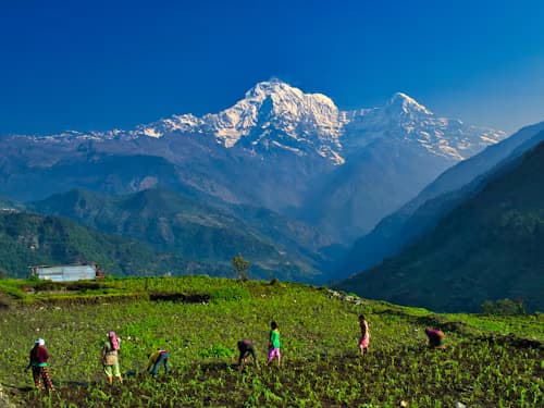 Mardi Himal Trekking